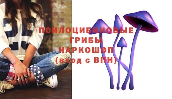 стаф Киреевск