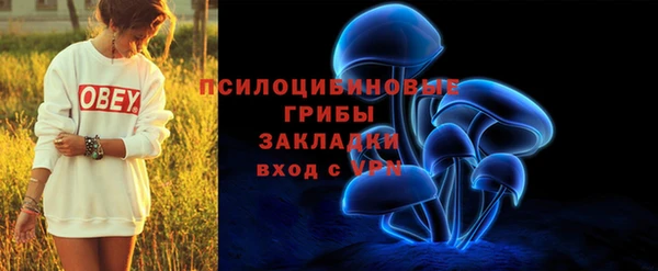 ГАЛЛЮЦИНОГЕННЫЕ ГРИБЫ Кинешма