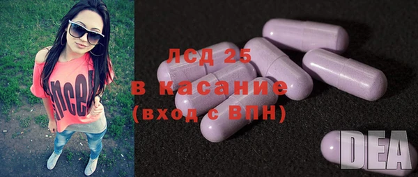 прущие грибы Карталы