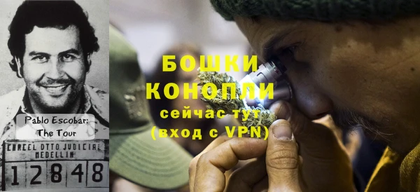 ГАЛЛЮЦИНОГЕННЫЕ ГРИБЫ Кинешма