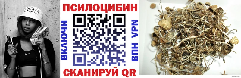 Псилоцибиновые грибы Psilocybine cubensis Купить где Мариинский Посад